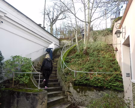 PXL013 Escalier à Chatou pour la pause pique-nique