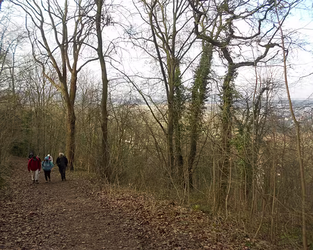 PXL017 Le parc forestier de la Jonchère, Bougival