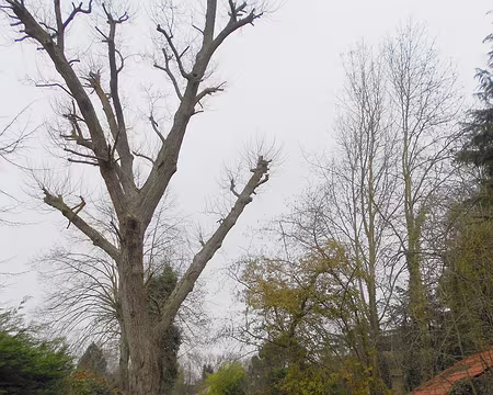 PXL000 Le long de l'Yvette à Chevreuse