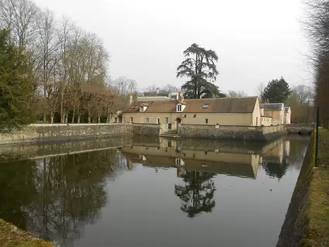 2013-03 Foret Notre-Dame