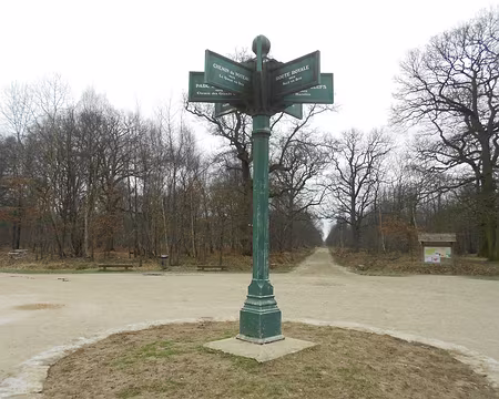 PXL003 Bois de Notre-Dame, forêt domaniale de l'Est francilien de 2 200 ha