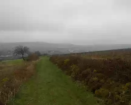 PXL028 Verzé dans le Val Lamartinien