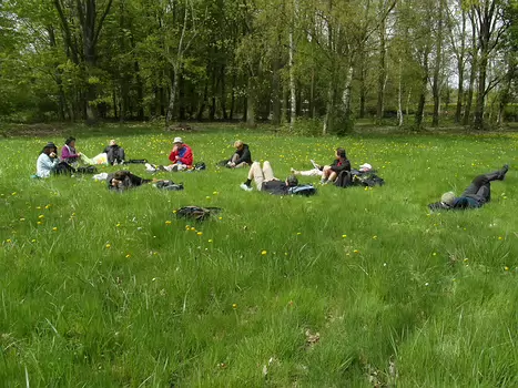 2013-04 Ceinture verte