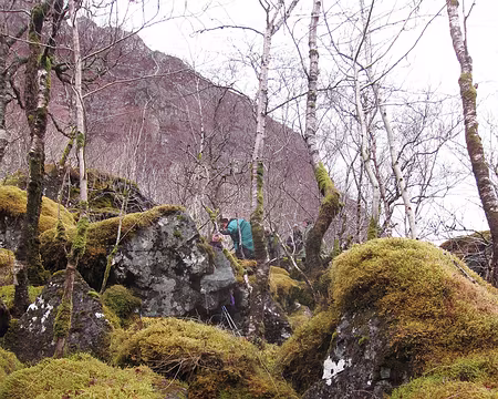 PXL015 Nous traversons un chaos moussu…