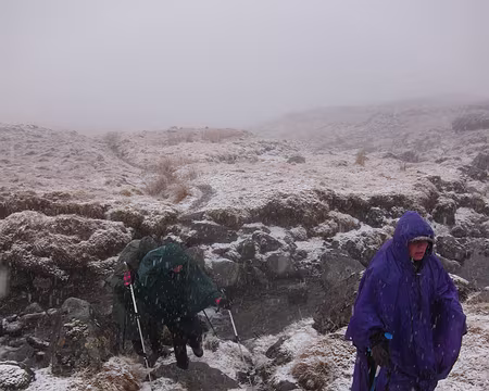 PXL101 … mais les plus courageux continuent…