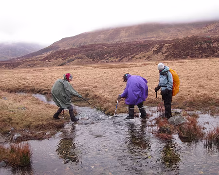 PXL113 … quand il y en a un