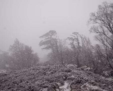 PXL121 … mais à notre descente, tout Glen Affric est sous la neige