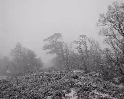 PXL121 … mais à notre descente, tout Glen Affric est sous la neige