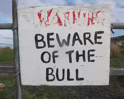 PXL300 Beware of the bull