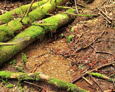 PXL016 Naissance d'une rivière