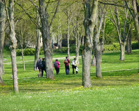 PXL003 le château de Chamarande