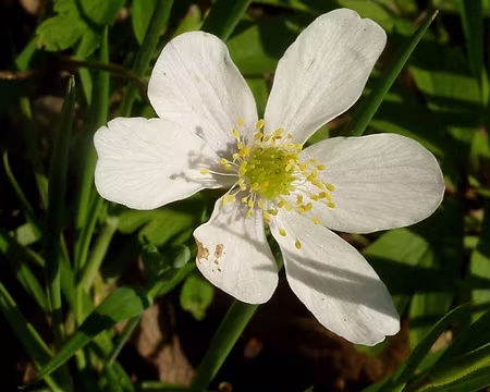 PXL014 Sans oublier les nouvelles rencontres