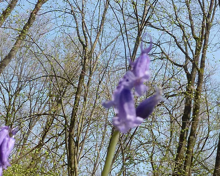 PXL015 qui l'ensoleillent également.