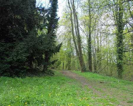 PXL001 Le parc forestier de la Jonchère