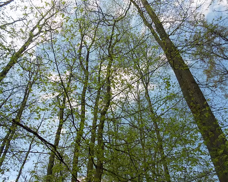 PXL020 Merci à Robert.