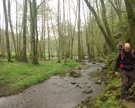 Vallée du Cousin Vallée du Cousin