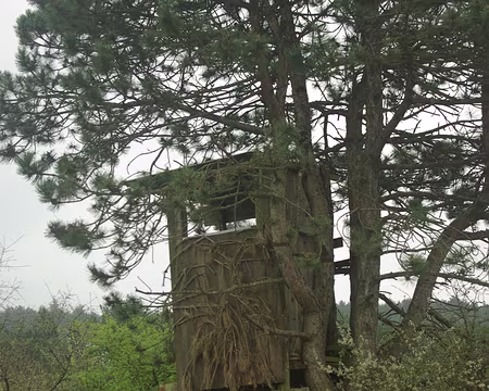 Ça chasse par ici... Ça chasse par ici...