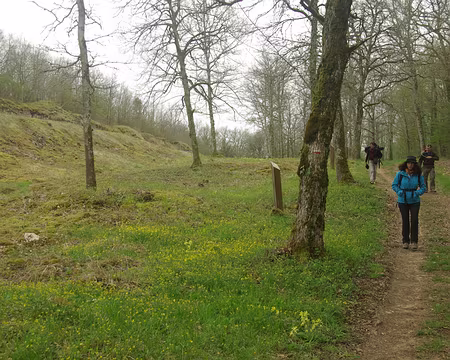 Camp antique de Cora Camp antique de Cora