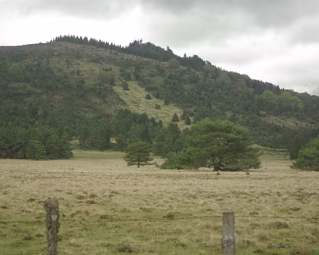 On aurait dû descendre par là On aurait dû descendre par là