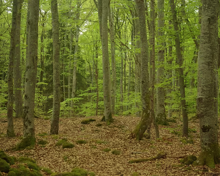 En recherchant le chemin... En recherchant le chemin...