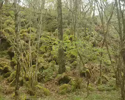 Cheire du puy de Côme Cheire du puy de Côme