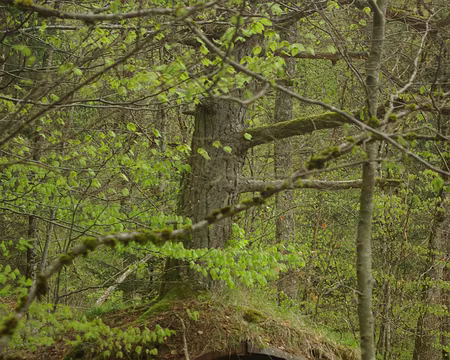 Alors là ! Alors là !