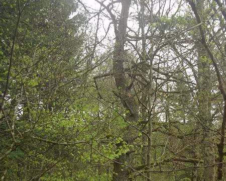 Les Amerloques sont battus à plate couture ! Les Amerloques sont battus à plate couture !