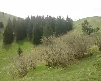 Le cratère du puy de Côme Le cratère du puy de Côme