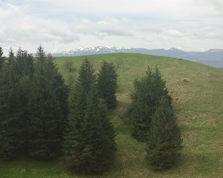 Le Sancy vu du puy de Côme Le Sancy vu du puy de Côme