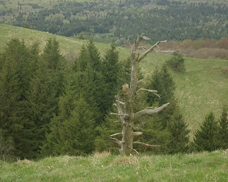 Puy de Côme Puy de Côme