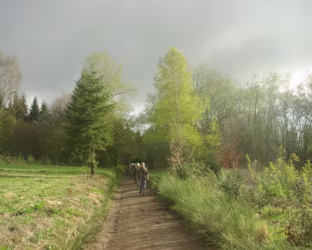 Profitant d'un bref rayon de soleil Profitant d'un bref rayon de soleil