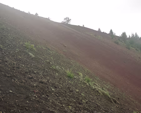 La pente du puy de Lassolas La pente du puy de Lassolas