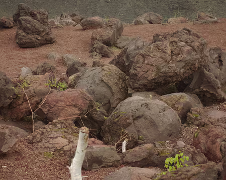 Restes de bombes volcaniques Restes de bombes volcaniques