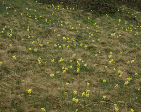 Personne ne cueille car c'est privé ! Personne ne cueille car c'est privé !