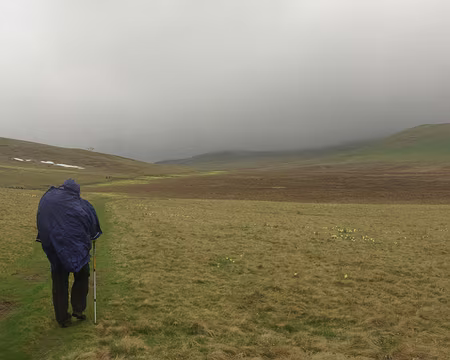 Cape de rigueur Cape de rigueur