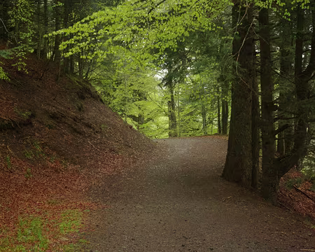 On ne voit presque pas qu'il pleut On ne voit presque pas qu'il pleut