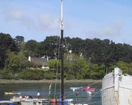 PXL008 que fait-il ?