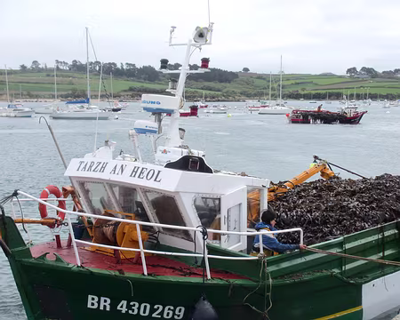 PXL085 plein à ras bord de goémon