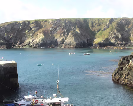 PXL111 le port du Stiff