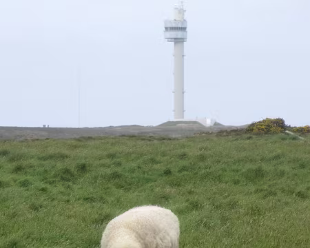 PXL202 surveillés !