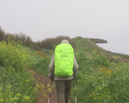 PXL221 couleurs assorties