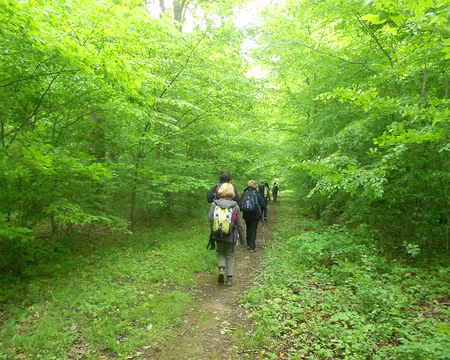 PXL004 Forêt domaniale de Malvoisine