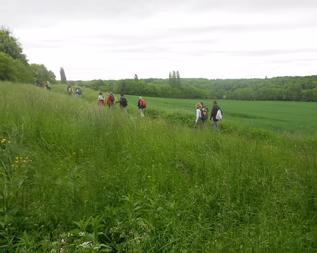 PXL012 Vallée de l'Aubetin
