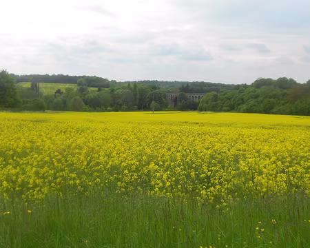 PXL019 Viaduc ferroviaire traversant la vallée de l'Aubetin