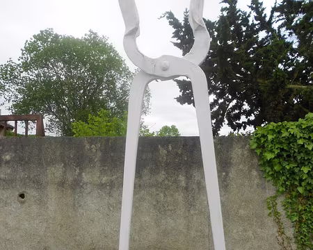 PXL020 Tenaille de 250