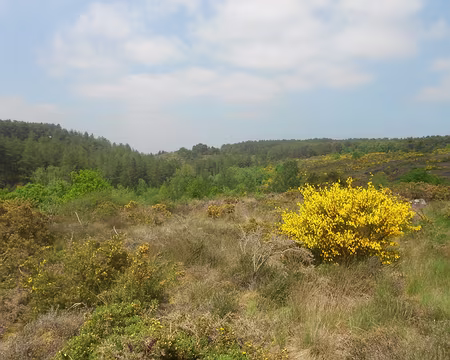 PXL016 Vallon de la Chambre-au-Loup