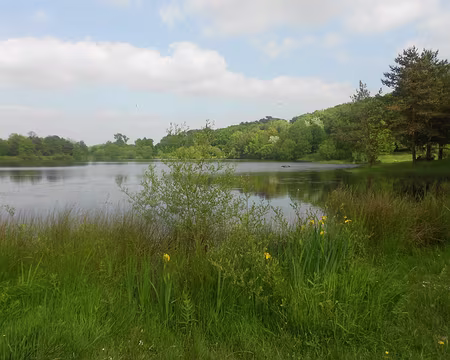 PXL022 Etang de la Marette