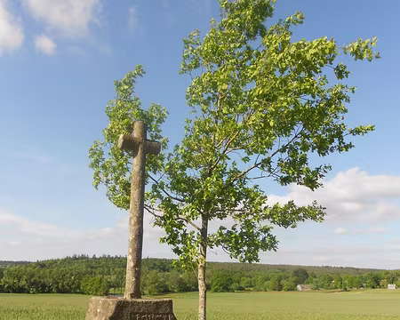PXL045 Près de Tréhorenteuc
