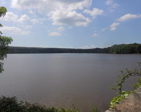 PXL064 Etang de Paimpont