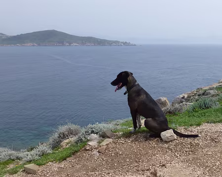 PXL007 La vue est belle effectivement.